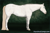 Horse Color:Smoky Creme Ice Roan Dun 