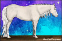 Horse Color:Cremello 