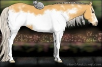 Horse Color:White Spotted Silver Buckskin Frame 