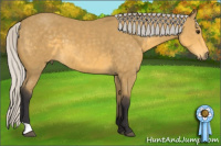 Horse Color:Silver Buckskin 