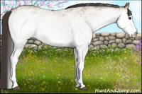 Horse Color:White Spotted Buckskin