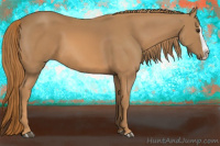 Horse Color:Chestnut Splash 
