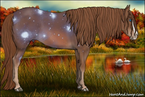 Horse Color: Chestnut Splash 