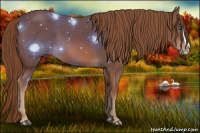 Horse Color:Chestnut Splash 
