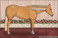 Horse Color:Chocolate Palomino 