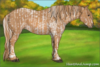 Horse Color:Silver Brown Roan Splash Tobiano Appaloosa Brindle