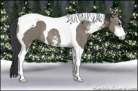 Horse Color:Grullo Sabino Tobiano 