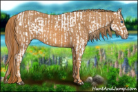 Horse Color:Bay Splash Tobiano Varnish  Brindle