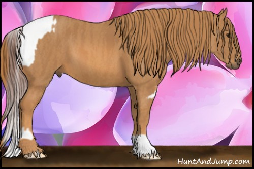 Horse Color: Bay Splash Tobiano Blanket  Brindle
