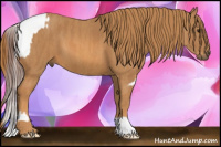 Horse Color:Bay Splash Tobiano Blanket  Brindle