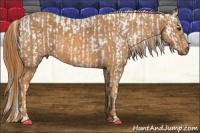 Horse Color:Bay Splash Tobiano Blanket  Brindle