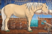 Horse Color:Gold Cream Champagne 