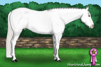 Horse Color:Silver Brown Pearl Near Leopard