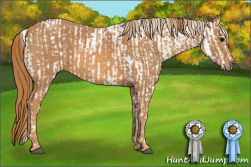 Horse Color: Bay Splash Tobiano Near Leopard  Brindle