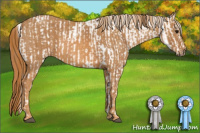 Horse Color:Bay Splash Tobiano Near Leopard  Brindle