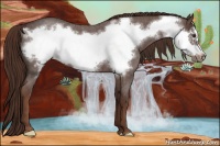 Horse Color:Liver Red Roan Frame 