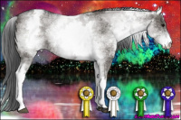 Horse Color:White Spotted Grullo