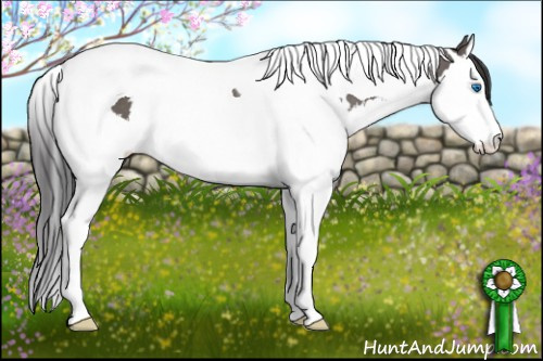 Horse Color: White Spotted Smoky Grullo Splash Tobiano Rabicano 