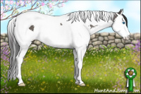 Horse Color:White Spotted Smoky Grullo Splash Tobiano Rabicano 