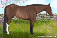 Horse Color:Bay Rabicano 
