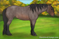 Horse Color:Brown Roan Rabicano 