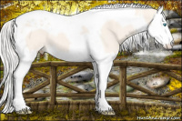 Horse Color:Cremello Dun Sabino Splash Tobiano