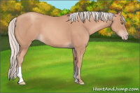 Horse Color:Silver Amber Champagne