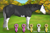 Horse Color:Brown Splash