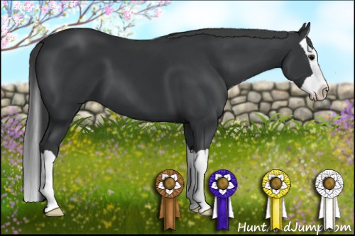 Horse Color: Brown Splash 