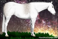 Horse Color:Gray Liver Red Dun Splash 