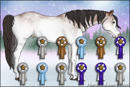 Horse Color: White Spotted Bay 