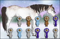 Horse Color:White Spotted Bay 