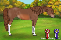 Horse Color:Liver Chestnut 