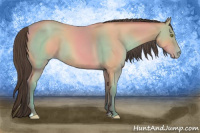 Horse Color:Amber Champagne 