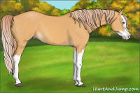 Horse Color:Palomino Dun Splash 
