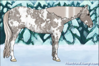 Horse Color:White Spotted Silver Blue Ice Roan