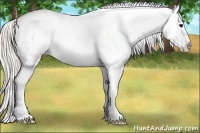 Horse Color:White Spotted Silver Black Blanket 