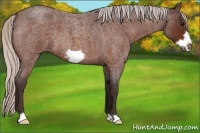 Horse Color:Silver Bay Roan Frame 