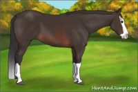 Horse Color:Brown Splash