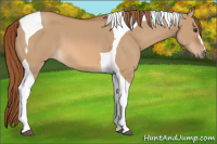 Horse Color:Red Dun Tobiano 