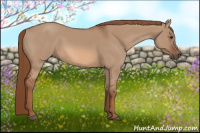 Horse Color:Liver Red Dun 