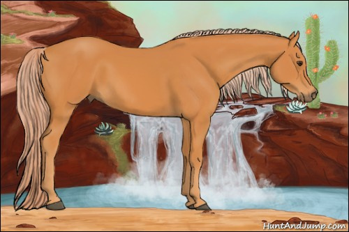 Horse Color: Chocolate Palomino Sabino 
