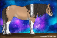 Horse Color:Bay Dun Splash Tobiano