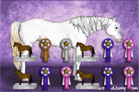 Horse Color:White Spotted Buckskin Appaloosa Rabicano 