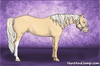 Horse Color:Silver Amber Cream Champagne Dun
