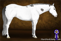 Horse Color:Grullo Splash Tobiano