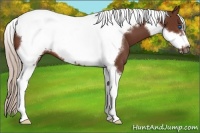 Horse Color:Silver Brown Tobiano Frame 