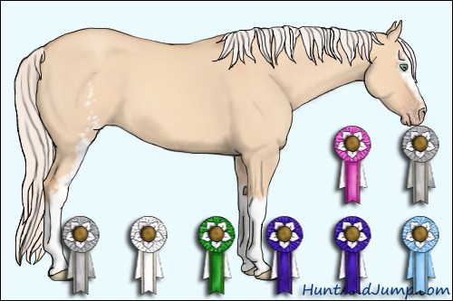 Horse Color: Unknown 