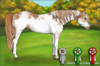 Horse Color:White Spotted Chestnut Frame 