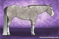 Horse Color:Smoky Grullo Ice Splash